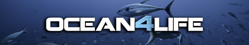 ocean4life fondo azul
